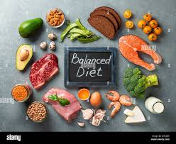 The Importance of Maintaining a Balanced Diet - Blog article cover image